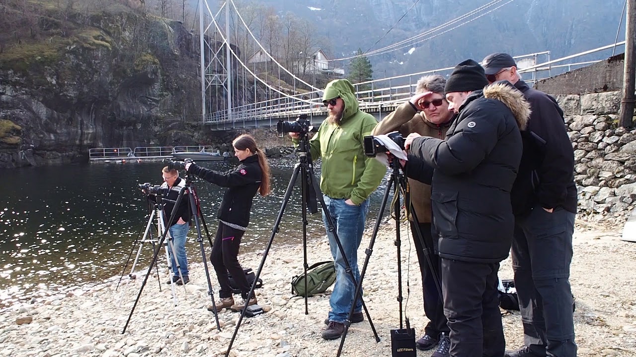 Dale fotolag 6 april