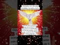 ANCLADOS CON DOS ALAS INVISIBLES: LA RAZÓN Y LA FE.