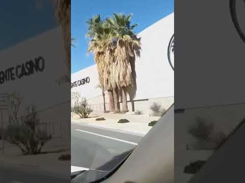 Live racing is coming back at Sunland Park Racetrack