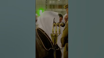 تلاوة خاشعة للشيخ ماهر المعيقلي