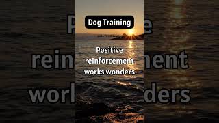 Unleash the Secrets of Canine Communication - Dog Talk Decoded! #dogtrainingsingapore #boardandtrain
