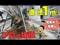 駐車場拡張！！　巨大な樹木の抜根作業！【庭師　抜根】