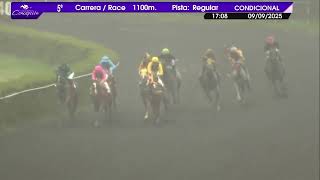 Vidéo de la course PMU II DIVISION MOTORIZADA