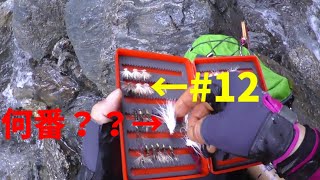 自作毛鉤でフライフィッシング