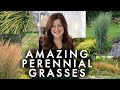 10 Perennial Grasses I Absolutely Love! 🌾💚// Garden Answer