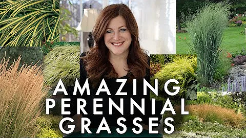 10 Perennial Grasses I Absolutely Love! 🌾💚// Garden Answer - DayDayNews