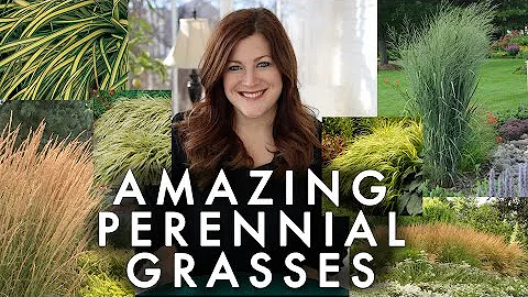 Will ornamental grasses survive winter?