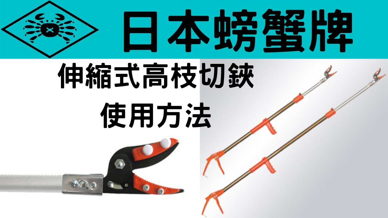 日本螃蟹牌伸縮式高枝切鋏使用方法