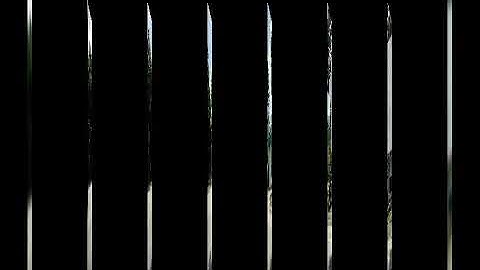 Zô zô ..Núi đất .....ở.huyện Mộc Hoá tỉnh Long An thị xã Kiến tườg..