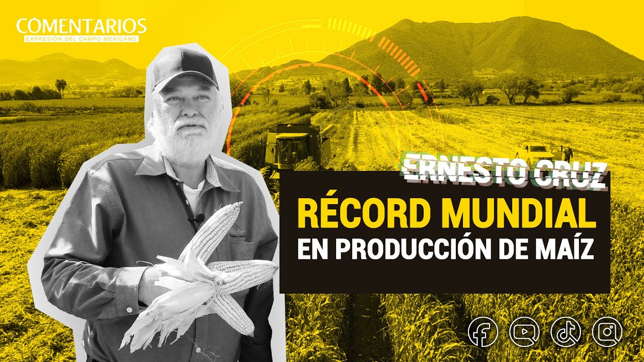 RÉCORD mundial en producción de MAÍZ 🌽 | Ernesto Cruz - YouTube