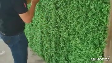 Hướng dẫn làm tường cây giả trang trí