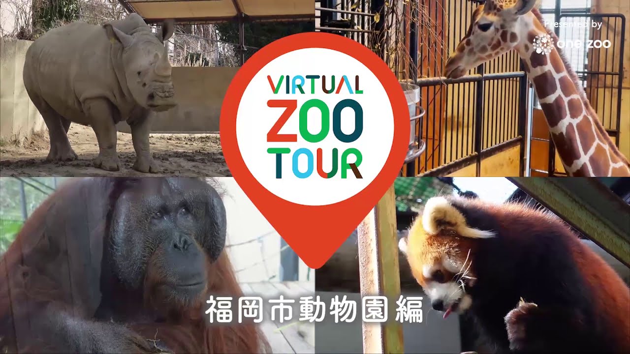 福岡市動物園】バーチャルZOOツアー！福岡市動物園編 [Fukuoka