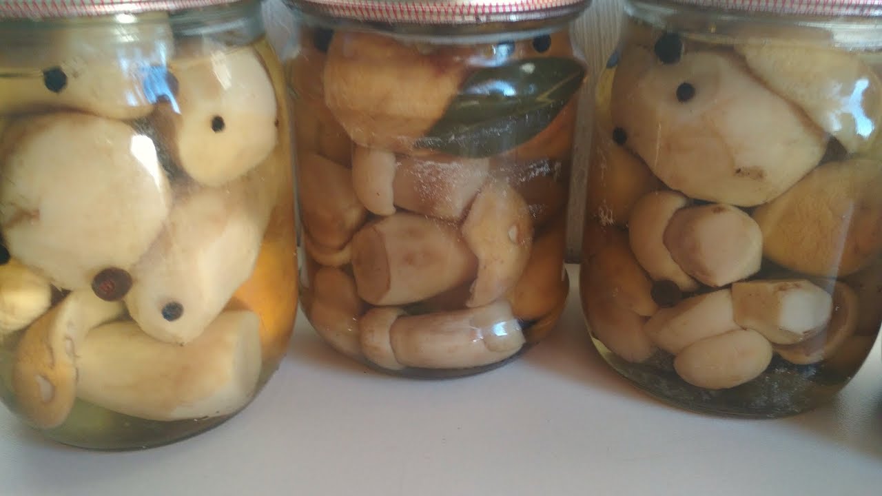 Соленые белые грибы на зиму, пошаговый рецепт с фото