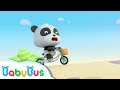 Baby Panda Learns to Ride a Bicycle | Car Song & Animation Collection | BabyBus