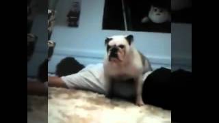 Snapchat - Lm -Lari Chamando O João Gui De Lindo