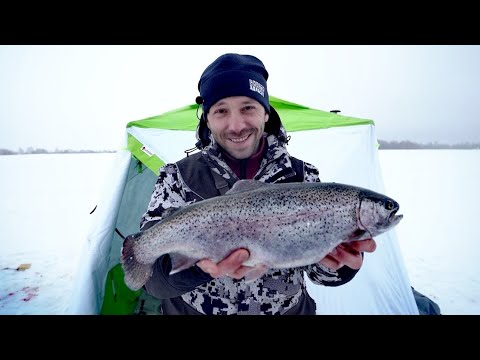 Как не поймать карпа зимой и наловить форели! Рыбалка с комфортом в палатке на поплавок со льда!