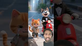 Shocking The Poor Kitten Has Thetransformer Arcee