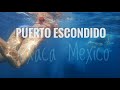 How magical is PUERTO ESCONDIDO, Oaxaca, Mexico? (Mazunte, Zicatela, Puerto Angelito)