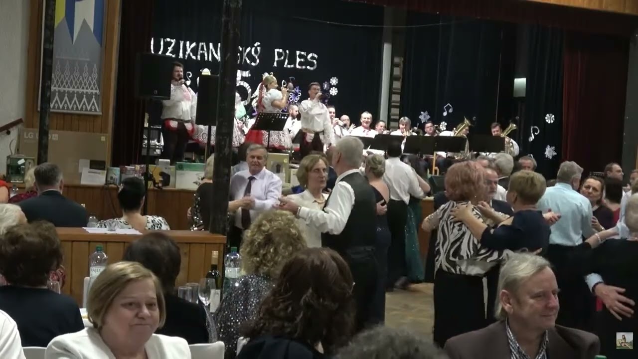 Muzikantský ples Zohor 2026 II. / by Vlado Kocurek