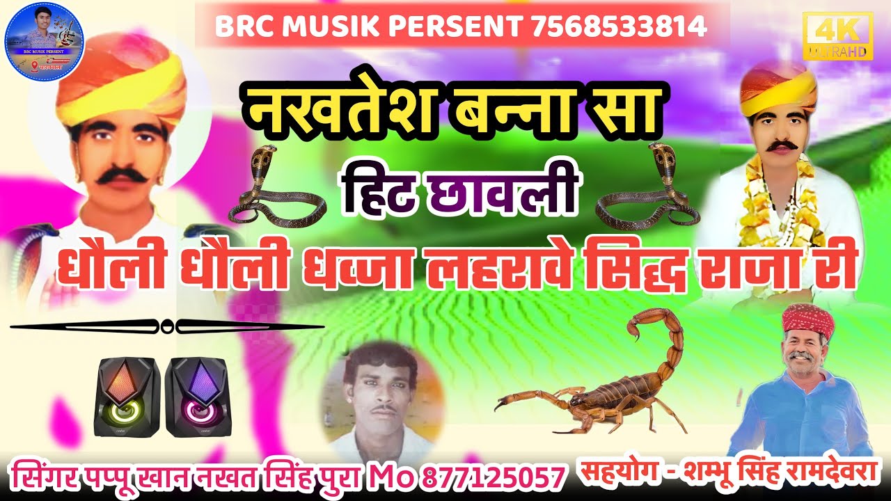 धौली धौली धव्जा लहरावे सिद्ध राजा री NAKHAT BNNA SA KI NEW CHHAWLI 2023 गायक पप्पू खान NS Pura