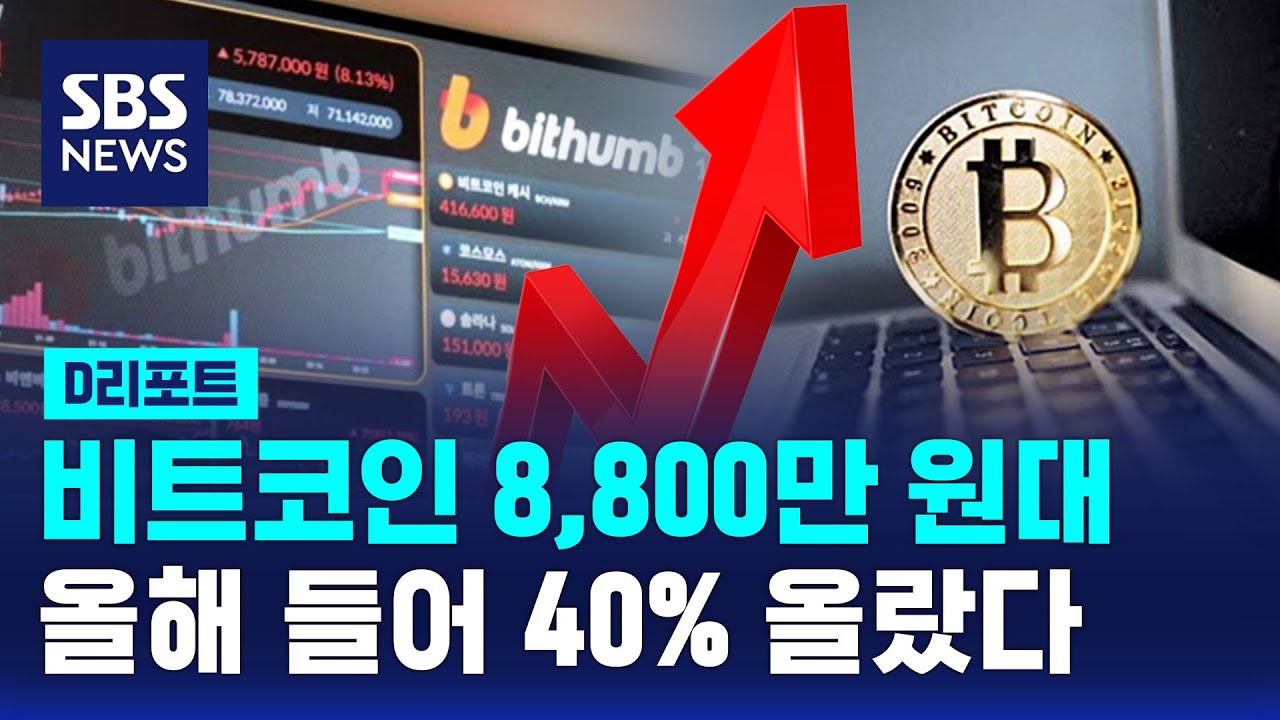 비트코인 원화마켓서 8,800만 원대…올 들어 40% 올라 / SBS / #D리포트