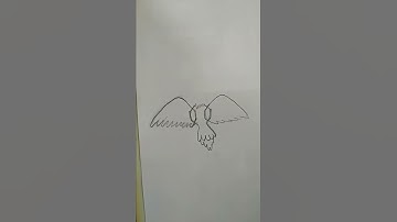 How to draw Eagle , step by step.