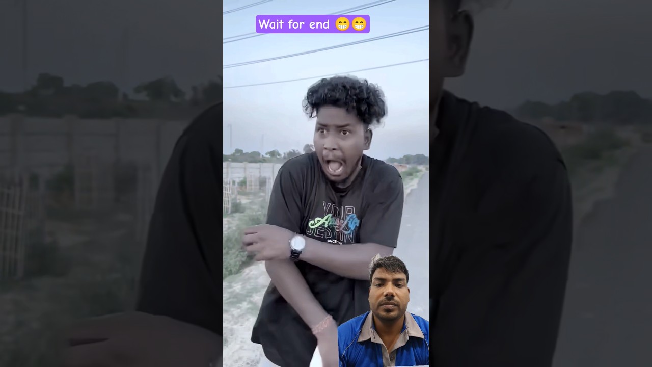 ducking save seriously injured cat 