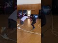 本戦開幕まで、ついにあと4日!7人目は【岩手代表・ショウ】【サウンドパートナー】Go2 ENTERTAINMENT 様 #clashbeat #バスケットボール #1on1 #髙田真希