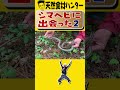 【シマヘビ２】谷田圭太は様々な天然食材を捕獲し数々の飲食店へと卸す「天然食材ハンター」です