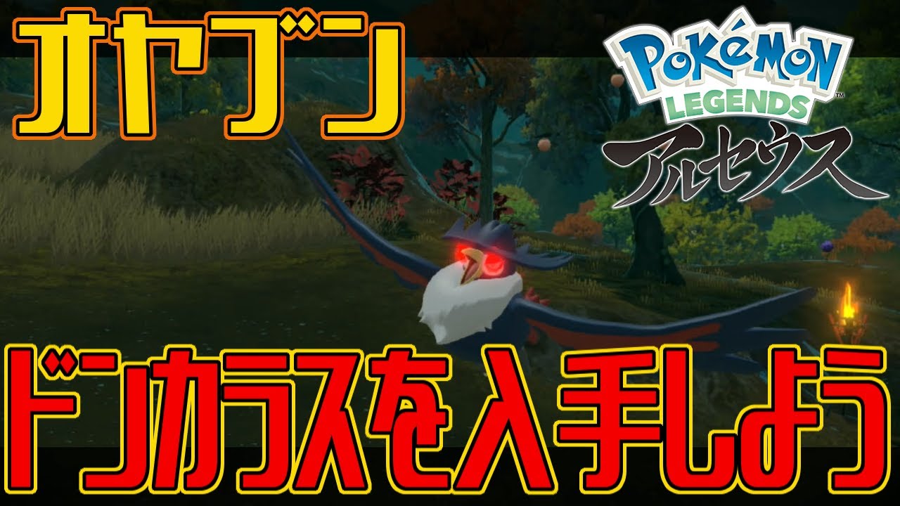 ポケモンアルセウス オヤブンのドンカラスを入手しよう Pokemon Legends アルセウス Youtube ポケモンアルセウス オヤブンのドンカラスを入手しよう Pokemon Legends アルセウス Youtube