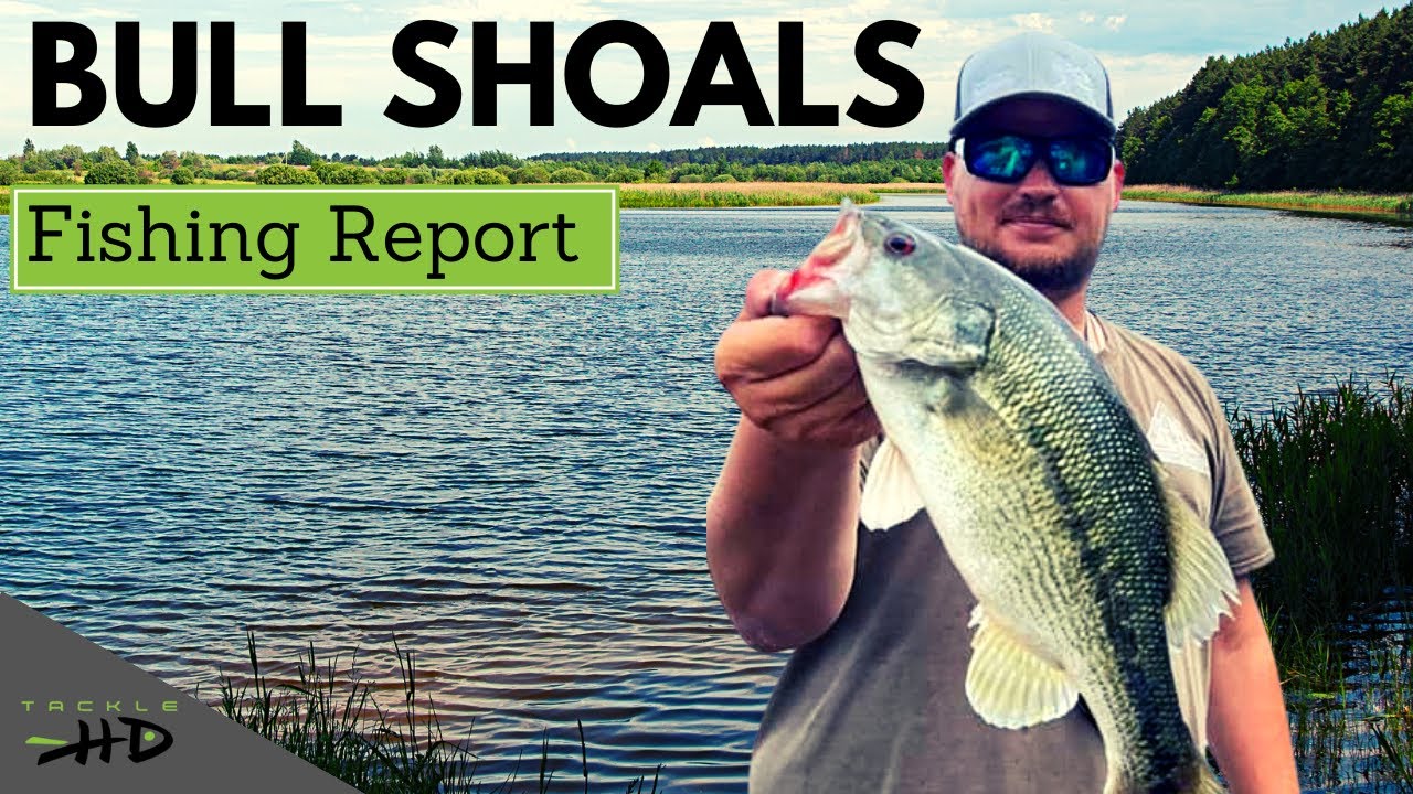 Bull Shoals Lake Fishing Report 3/9/2023 by Jordan Isaacs and Tackle HD