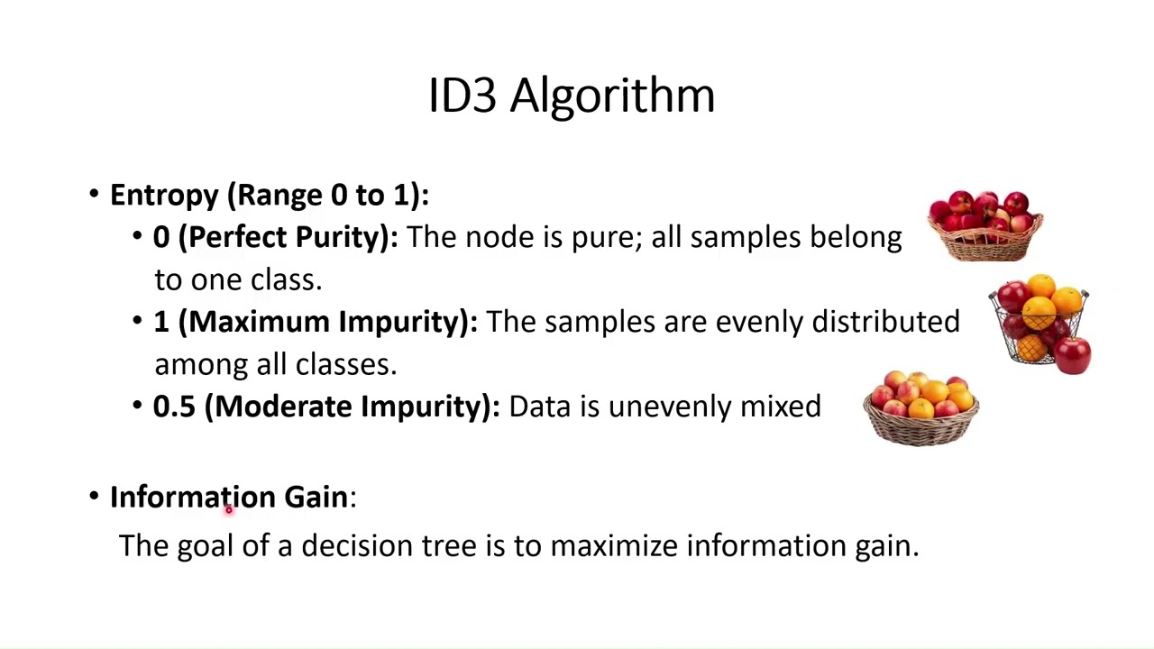 Decision Tree Algorithm | Machine Learning | 13 | Tamil
