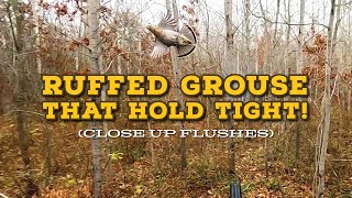 Finding UNPRESSURED Ruffed Grouse in November!