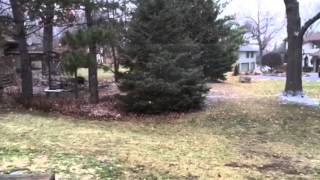 White Christmas yet?