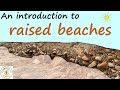 Understanding Raised Beaches