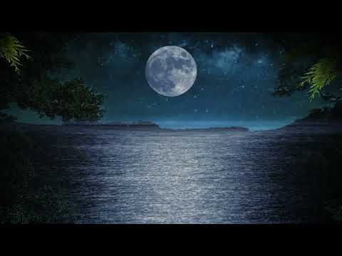 World Youth Choir: UNICORNIS CAPTIVATUR (Gjeilo)