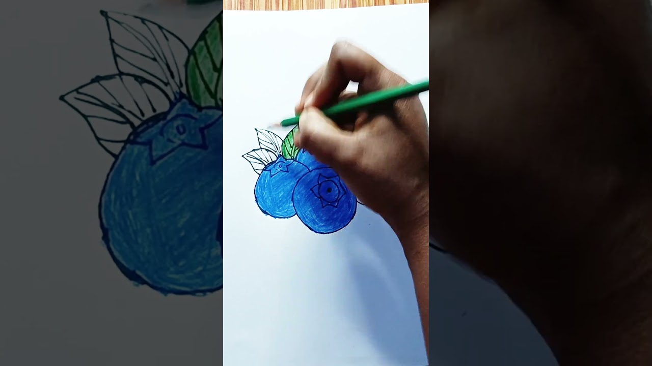 How to Draw Blueberries: Easy Pencil Drawing Tutorial 