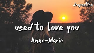 Miniatura de vídeo de "Anne-Marie - Used To Love You (Lyrics)"