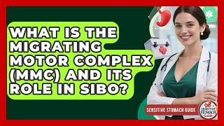 What Is The Migrating Motor Complex (MMC) And Its Role In SIBO? - Sensitive Stomach Guide