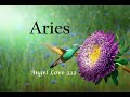 Aries ♈️Weekly ~ A favorable outcome! August 17th - 23rd Tarot Reading