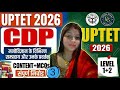 UPTET 2025 CDP Class 3 🔥 | Psychology Most Important Concepts | 100% आएगा! #vivia #uptet2026