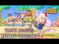 Animal Crossing compie un 1 ANNO?ECCO la mia isola dopo UN ANNO??