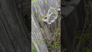 Simple Yard Screen and Storage #garden #property, #home