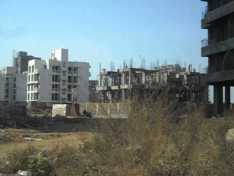 Gulmohar video 1
