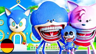 SHIN SONIC erhält sein erstes HAUS? The Sonic Tapes Animation