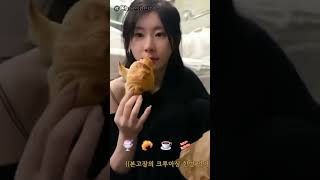 Food, Mukbang Chaeryoung