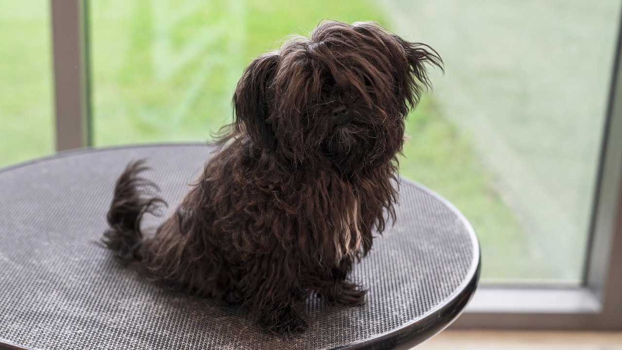 Не трогай мои волосы..! / Ясно....