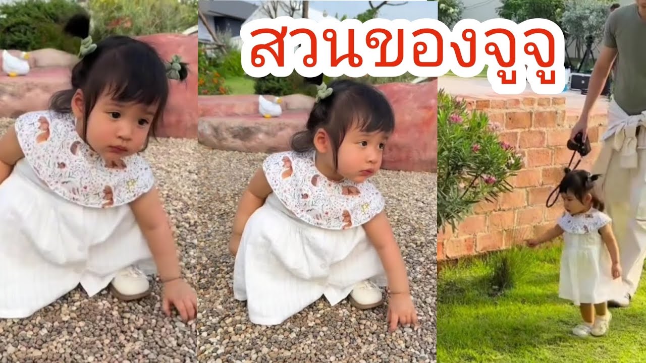 สวนของจูจู กล้วยเต็มสวนเลย #พีร์เจ #เจเพิร์ล #พุฒจุ๋ย #pjfamily 