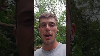 Festival comedown is a lesson #festivals #ukfestivals #mentalhealth #nature