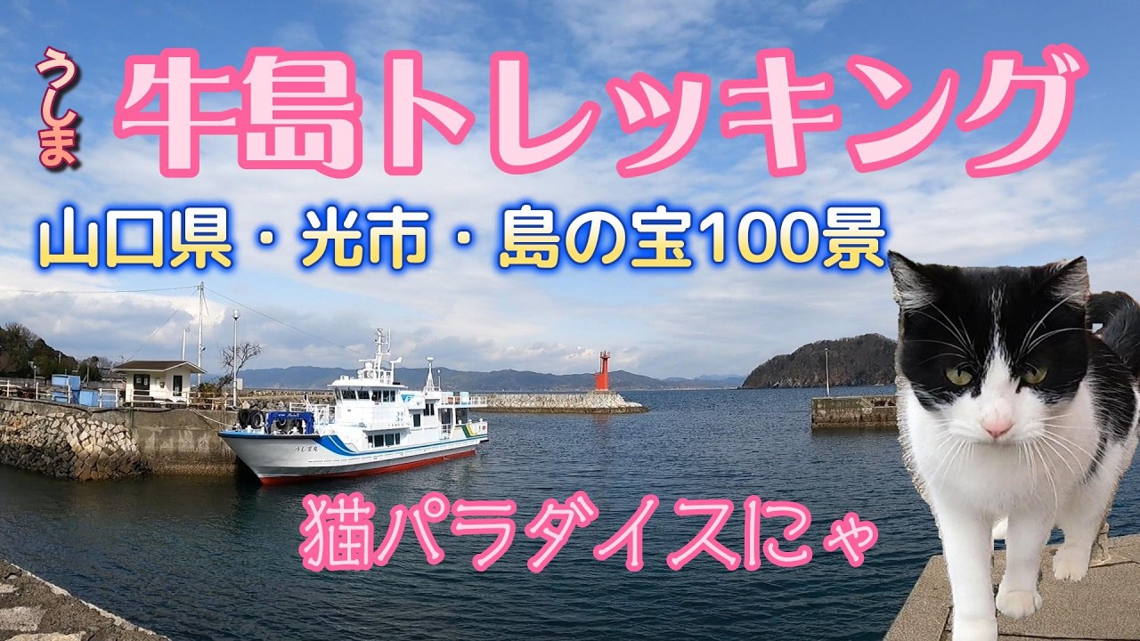 【牛島】（うしま）（山口県・光市）には何がある？【赤ちゃんと山登り】赤ちゃんとのんびり離島トレッキング！2026.2.11.　#山口観光 #猫の島 #光市 